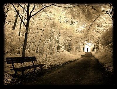 au bout du chemin